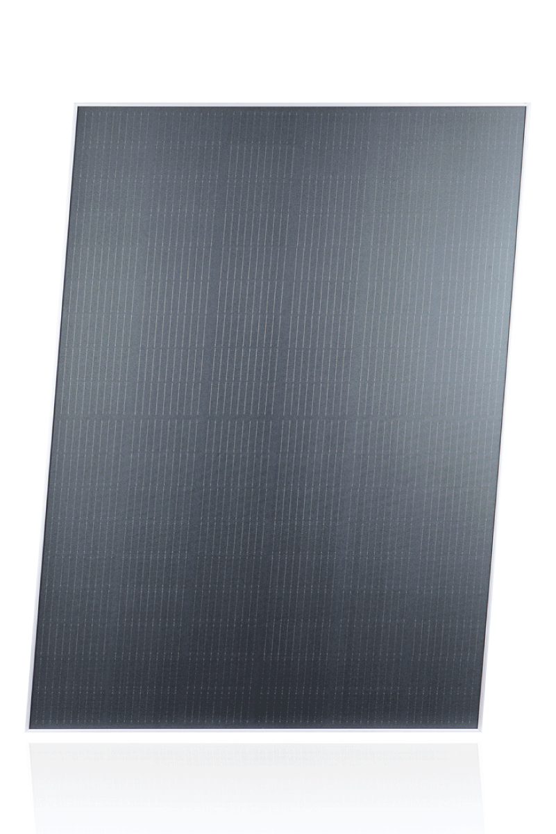 Home – Copy