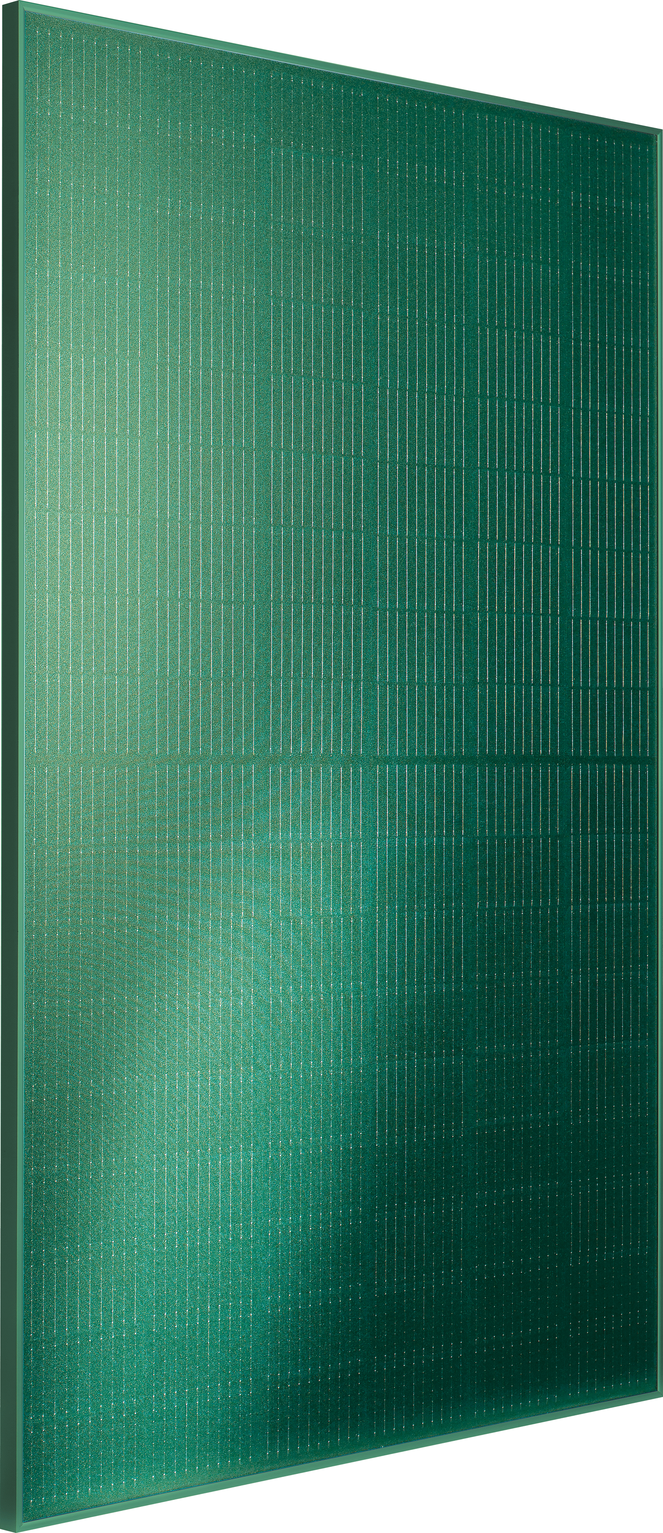 Home – Copy