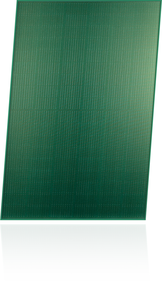 Home – Copy