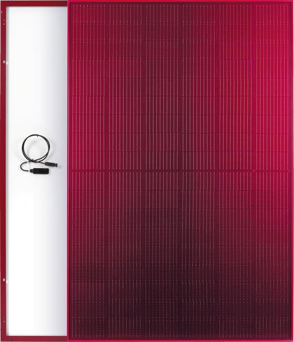 Home – Copy