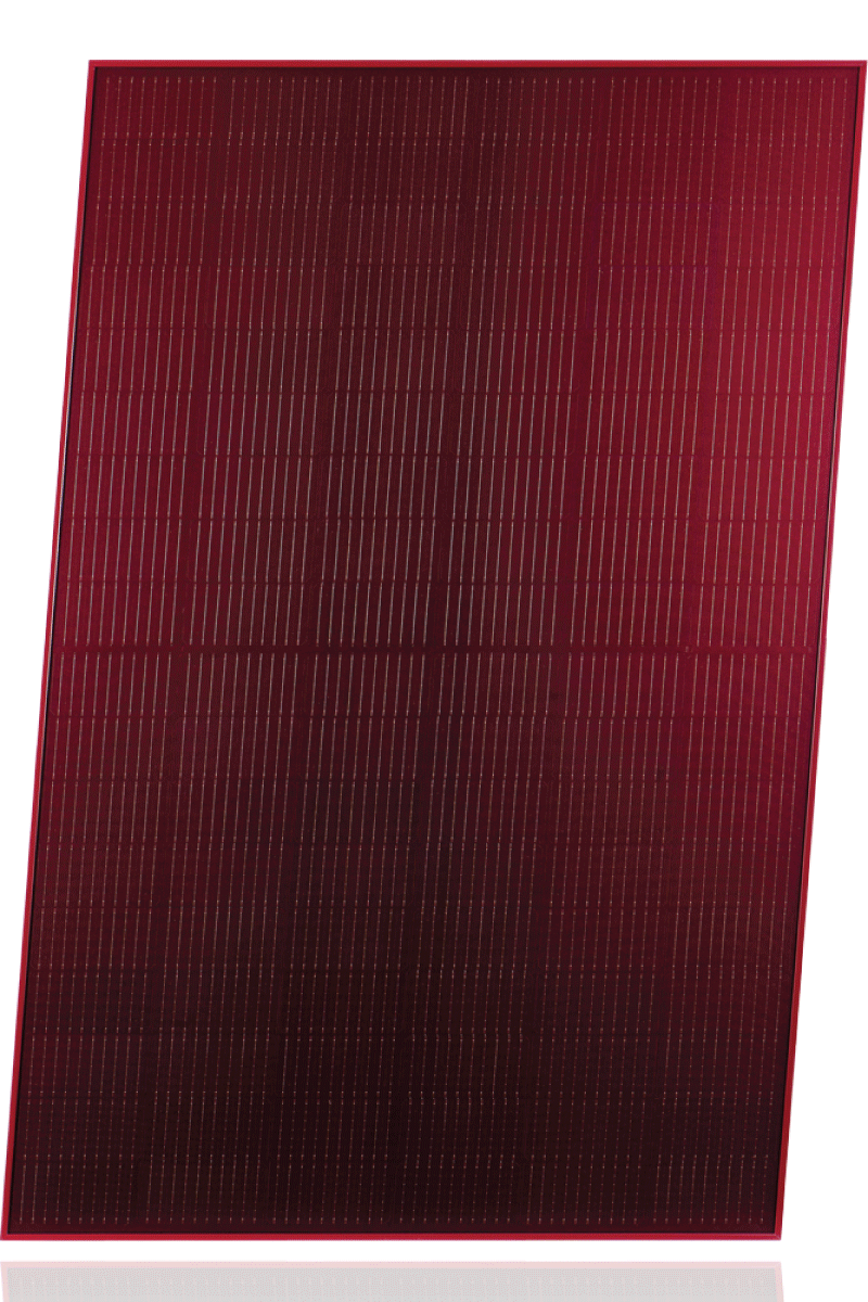 Home – Copy