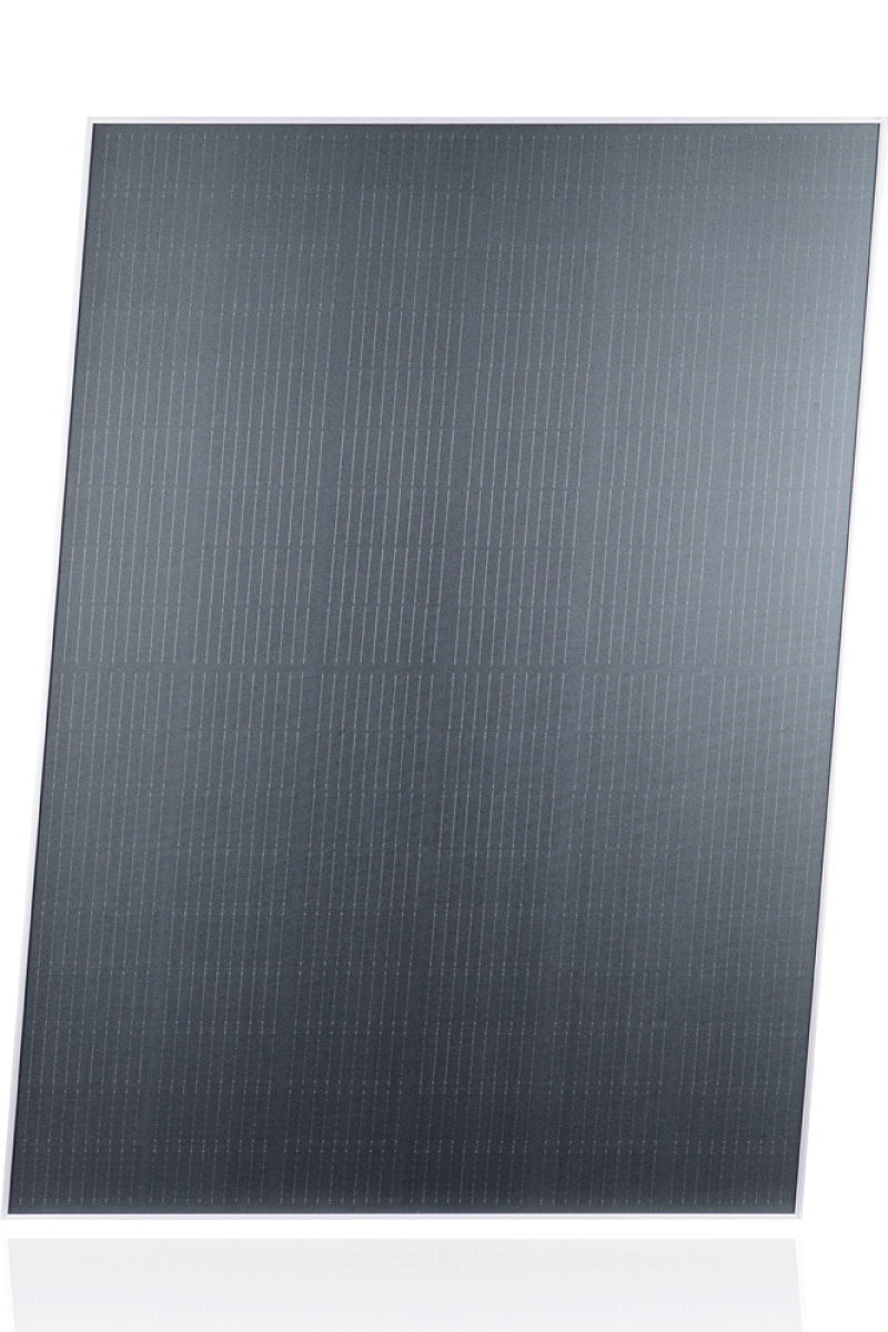Home – Copy